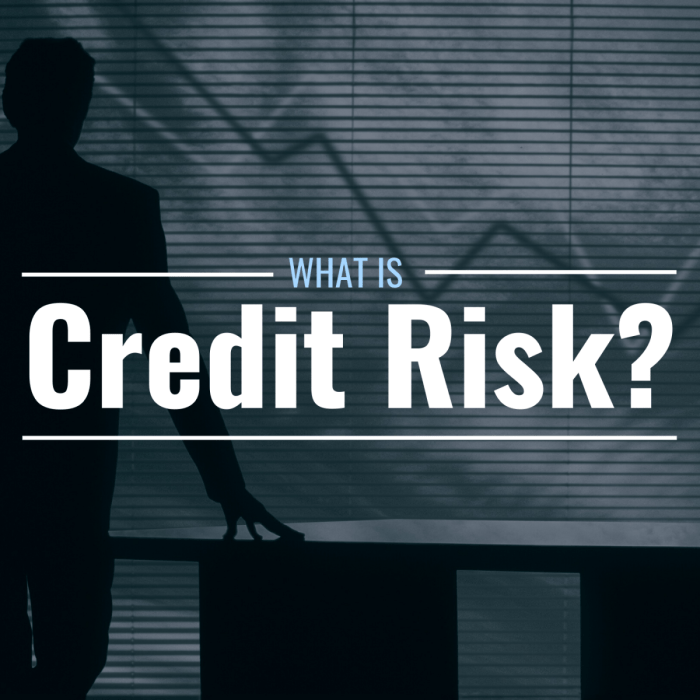 Risk credit primer management ppt powerpoint presentation